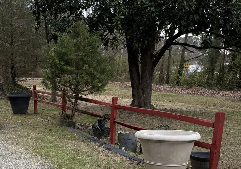 40 Carl Parker Road lot setting in Hampton, Georgia.
