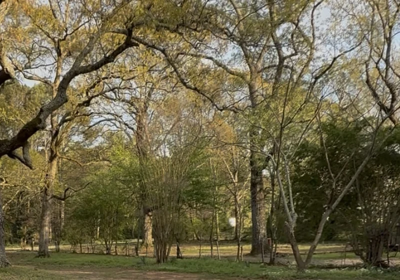 41 Carl Parker Road lot setting in Hampton, Georgia.