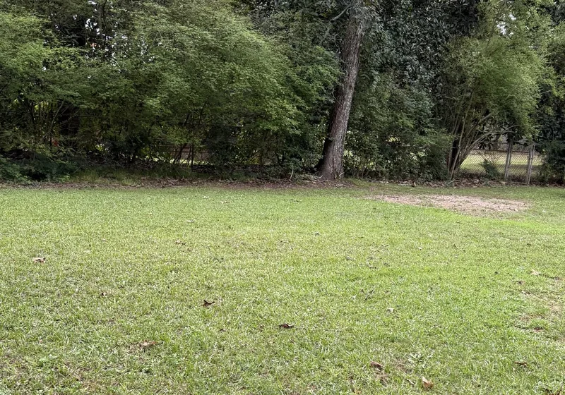 83 Carl Parker Road private lot setting in Hampton, Georgia.